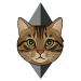 humble-logo-1